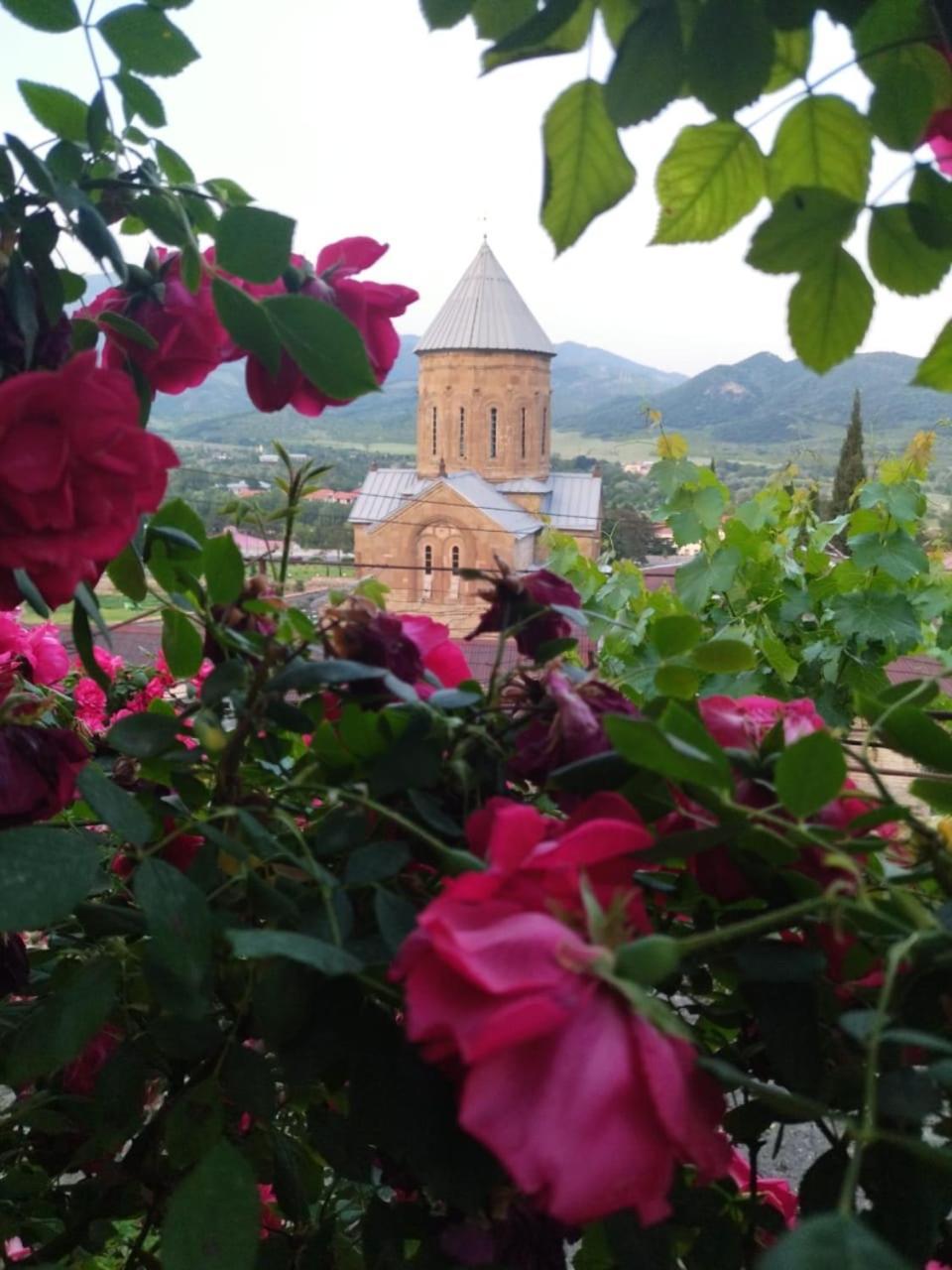 Garden And Panorama