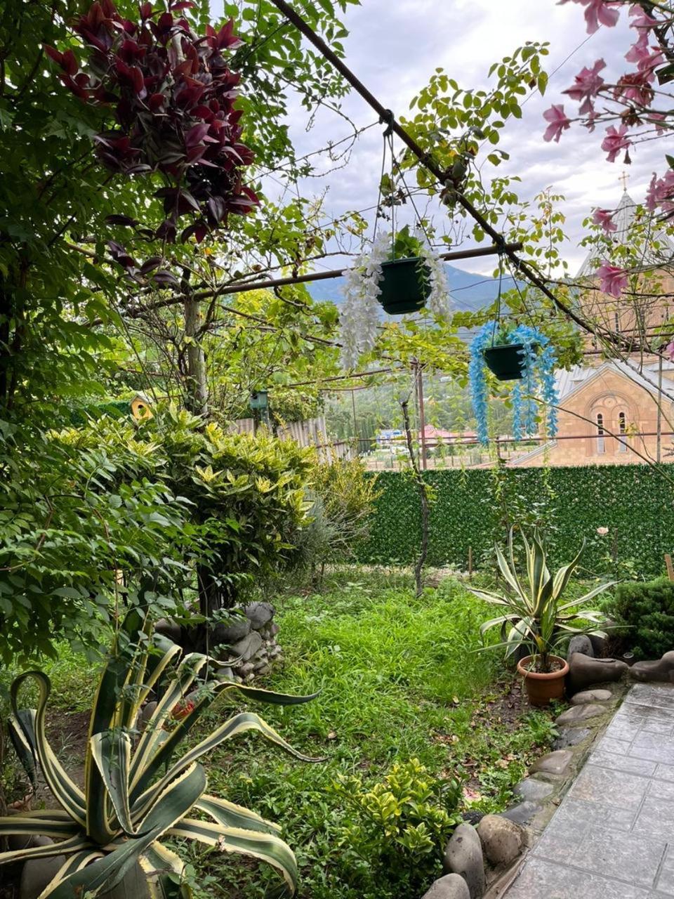 Garden And Panorama * Mtskheta