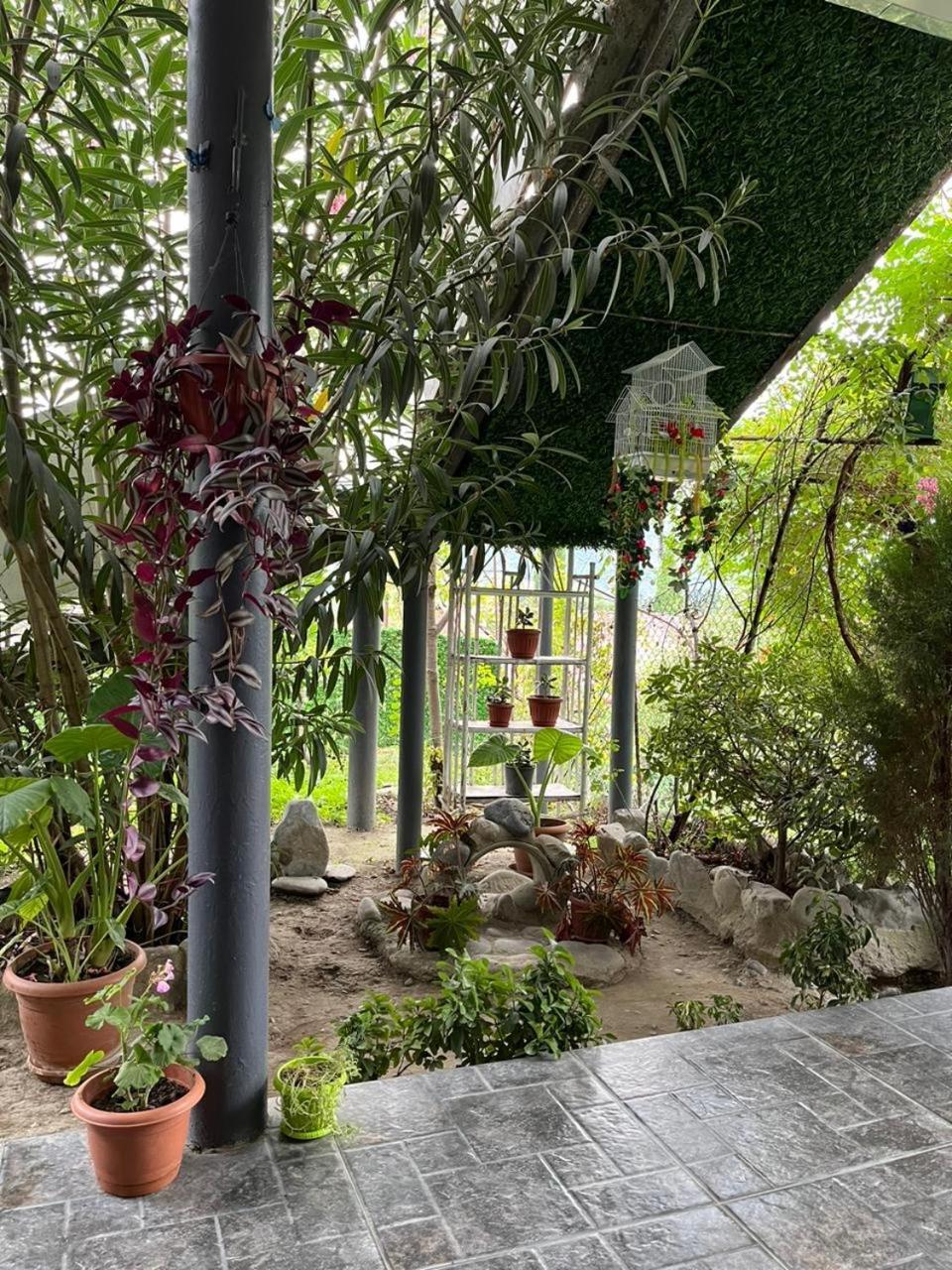 Garden And Panorama